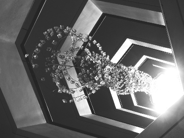 亚洲一区水蜜桃:探索这款水果的独特风味与健康益处 亚洲一区水蜜桃:探索这款水果的独特风味与健康益处